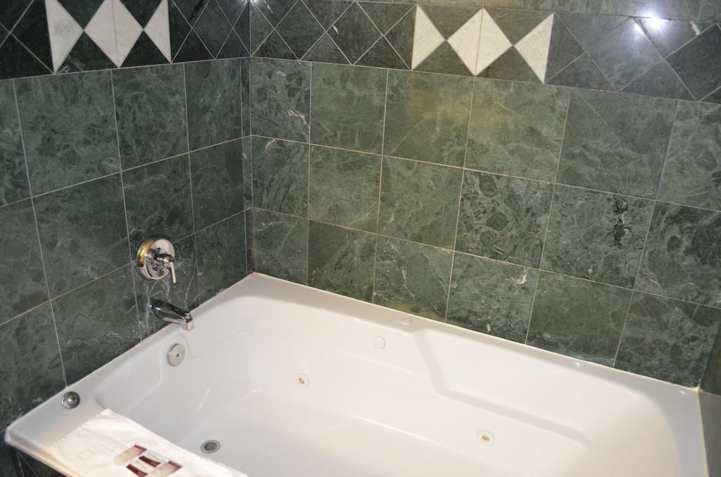 Comfort Inn Downtown Детройт Екстериор снимка