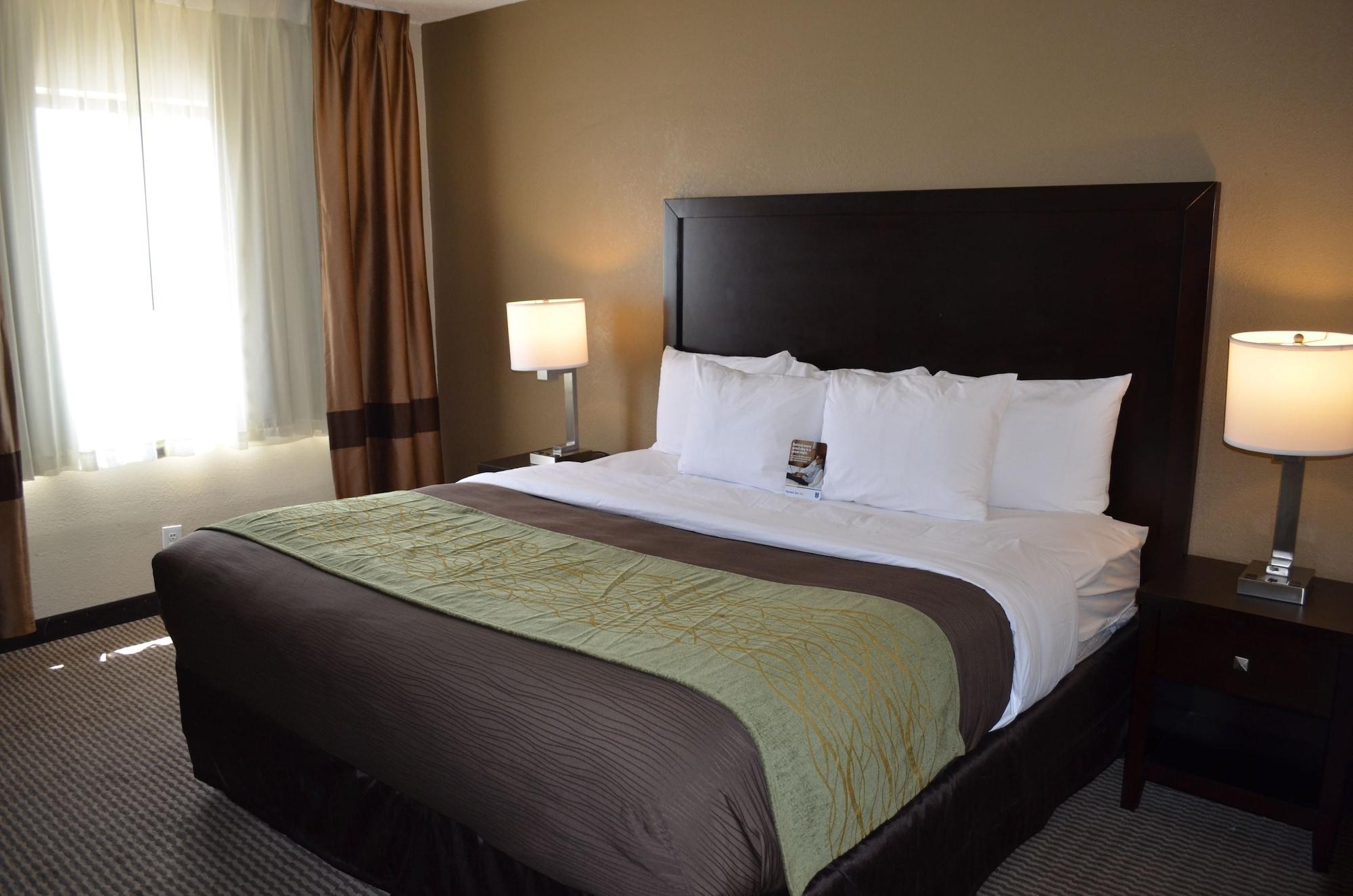 Comfort Inn Downtown Детройт Екстериор снимка