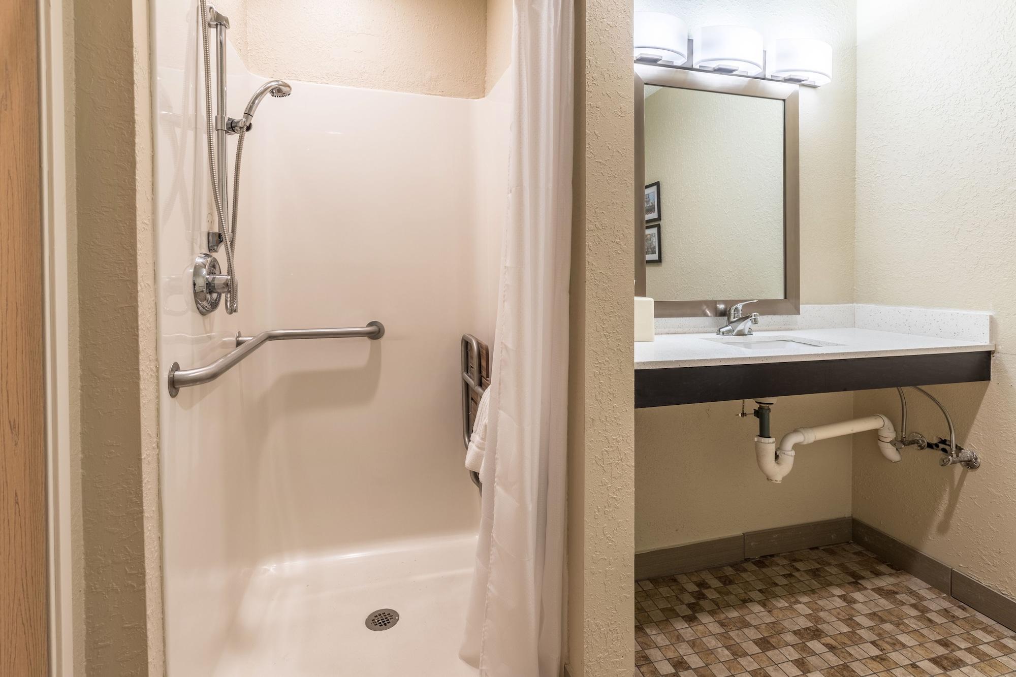 Comfort Inn Downtown Детройт Екстериор снимка