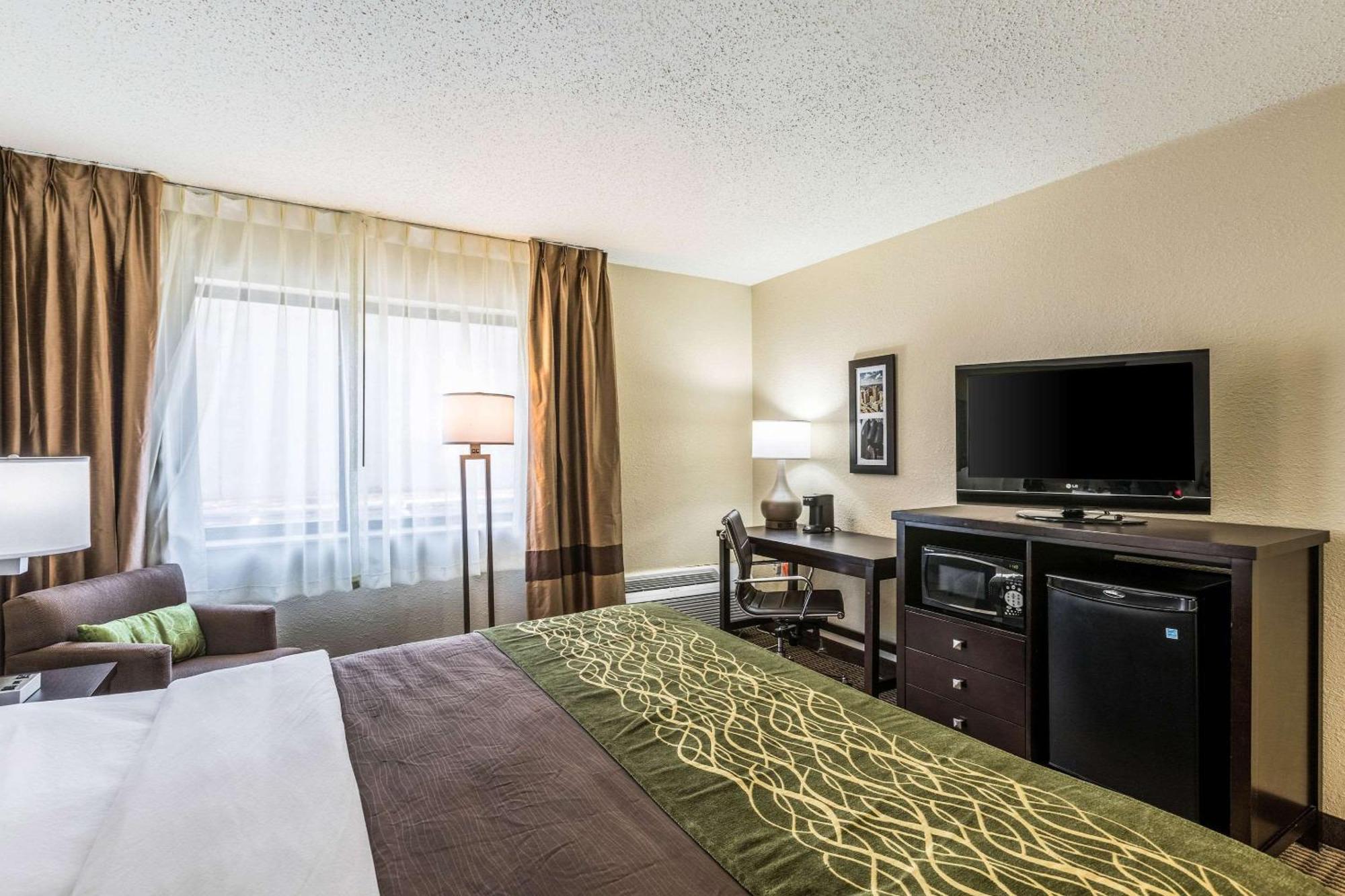 Comfort Inn Downtown Детройт Екстериор снимка