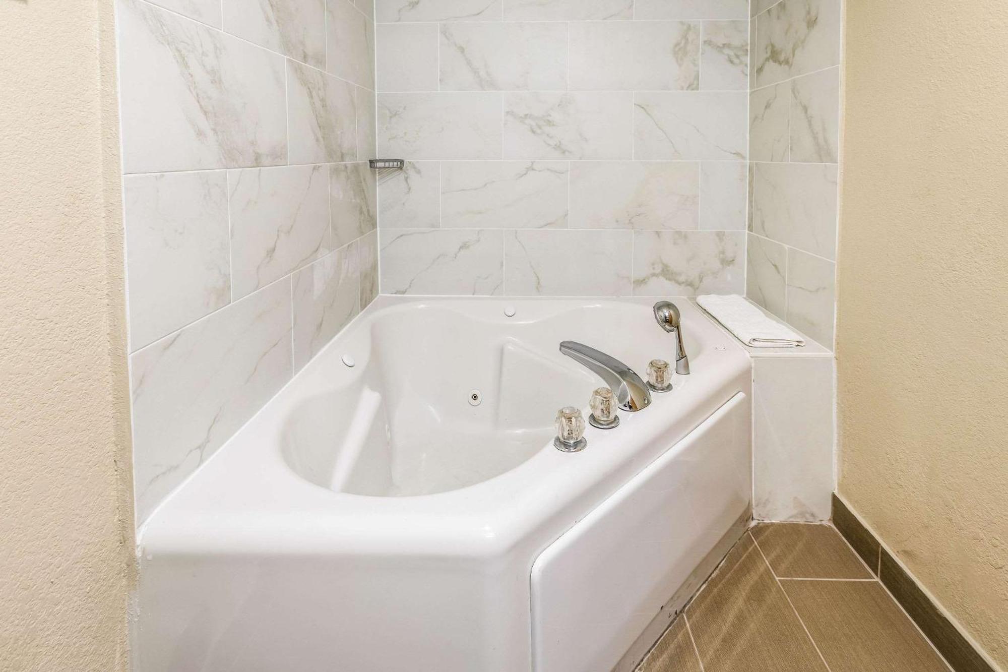 Comfort Inn Downtown Детройт Екстериор снимка