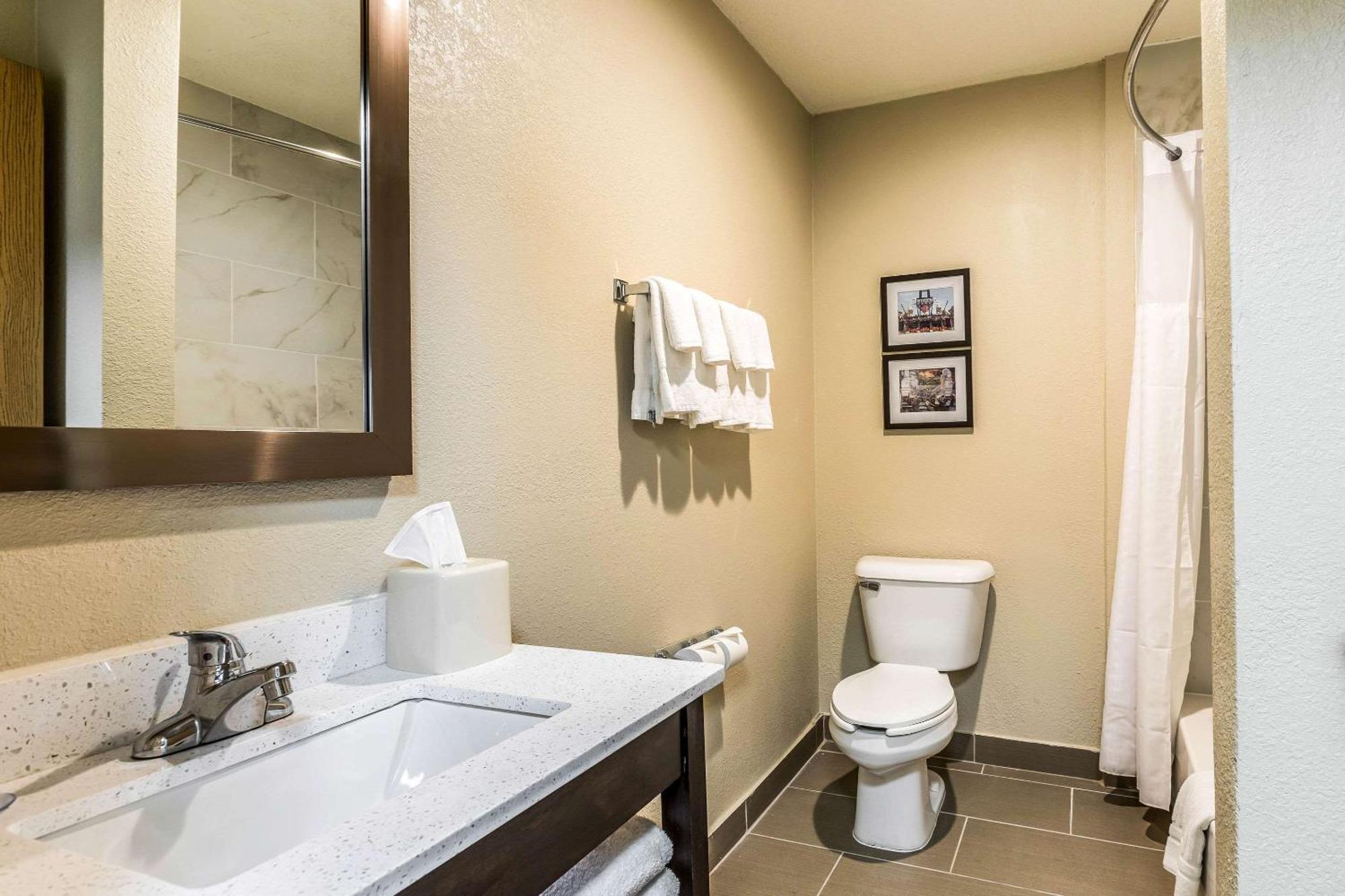Comfort Inn Downtown Детройт Екстериор снимка