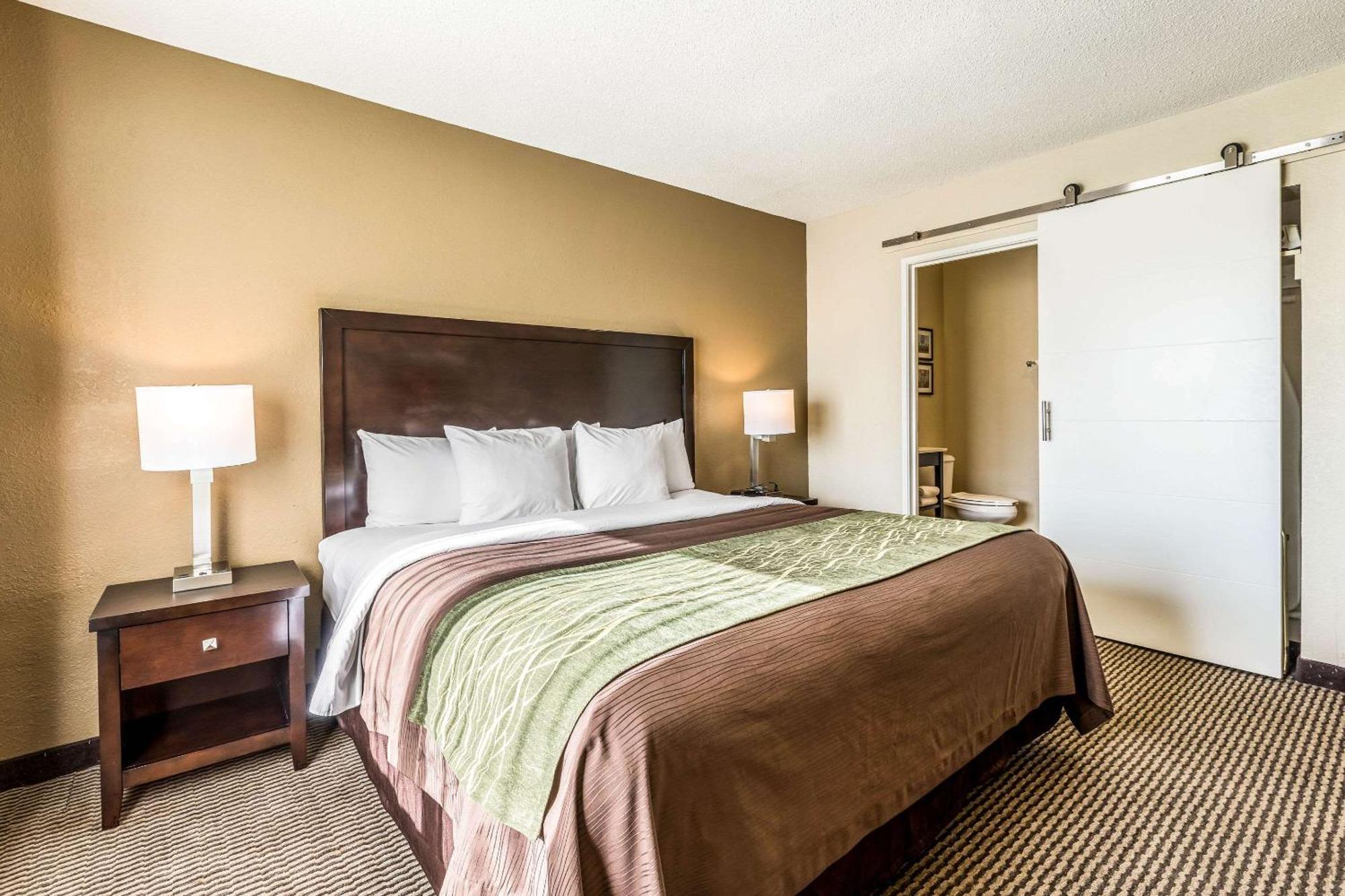 Comfort Inn Downtown Детройт Екстериор снимка