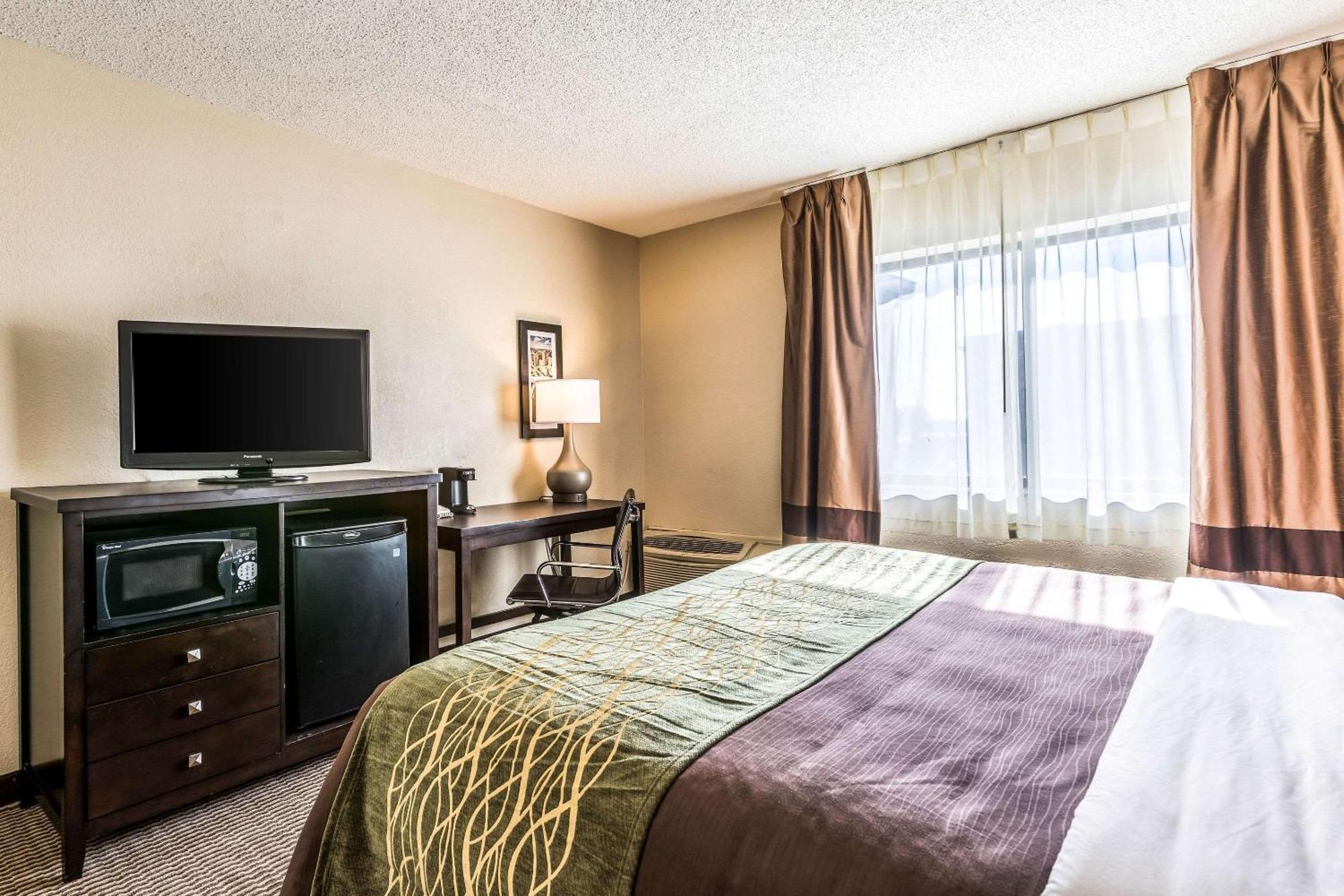 Comfort Inn Downtown Детройт Екстериор снимка